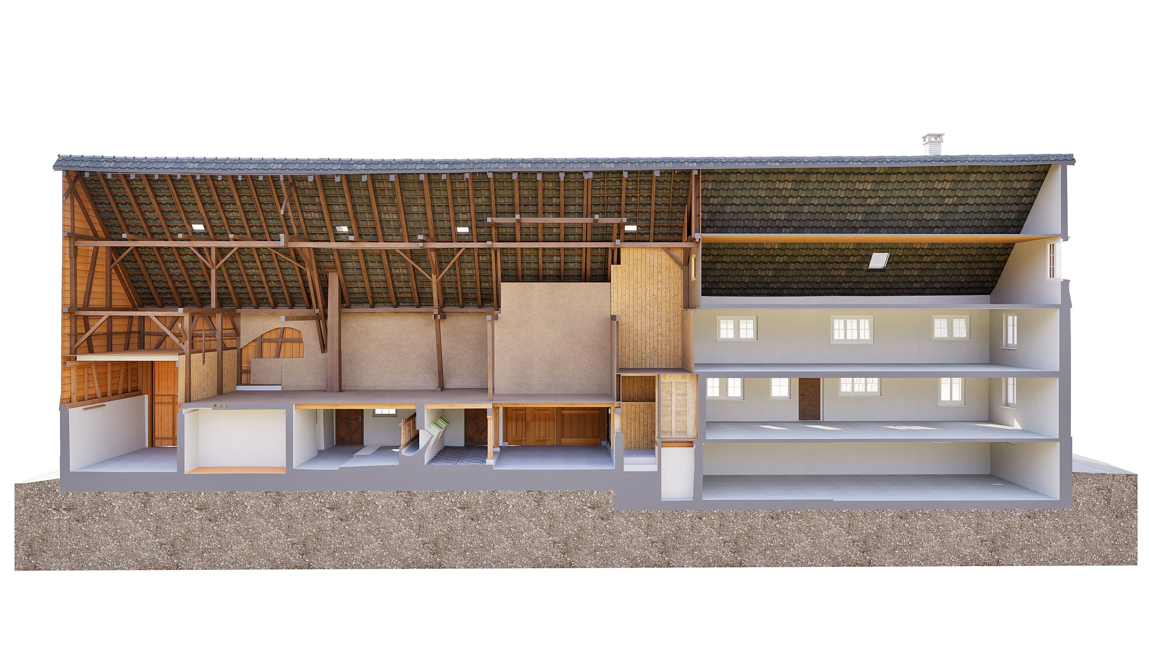 3D-Schnittansicht eines Gebäudes mit Holzdachstuhl, sichtbarer Fachwerkkonstruktion und mehreren Innenräumen auf zwei Ebenen, Architektur-Visualisierung auf weißem Hintergrund.