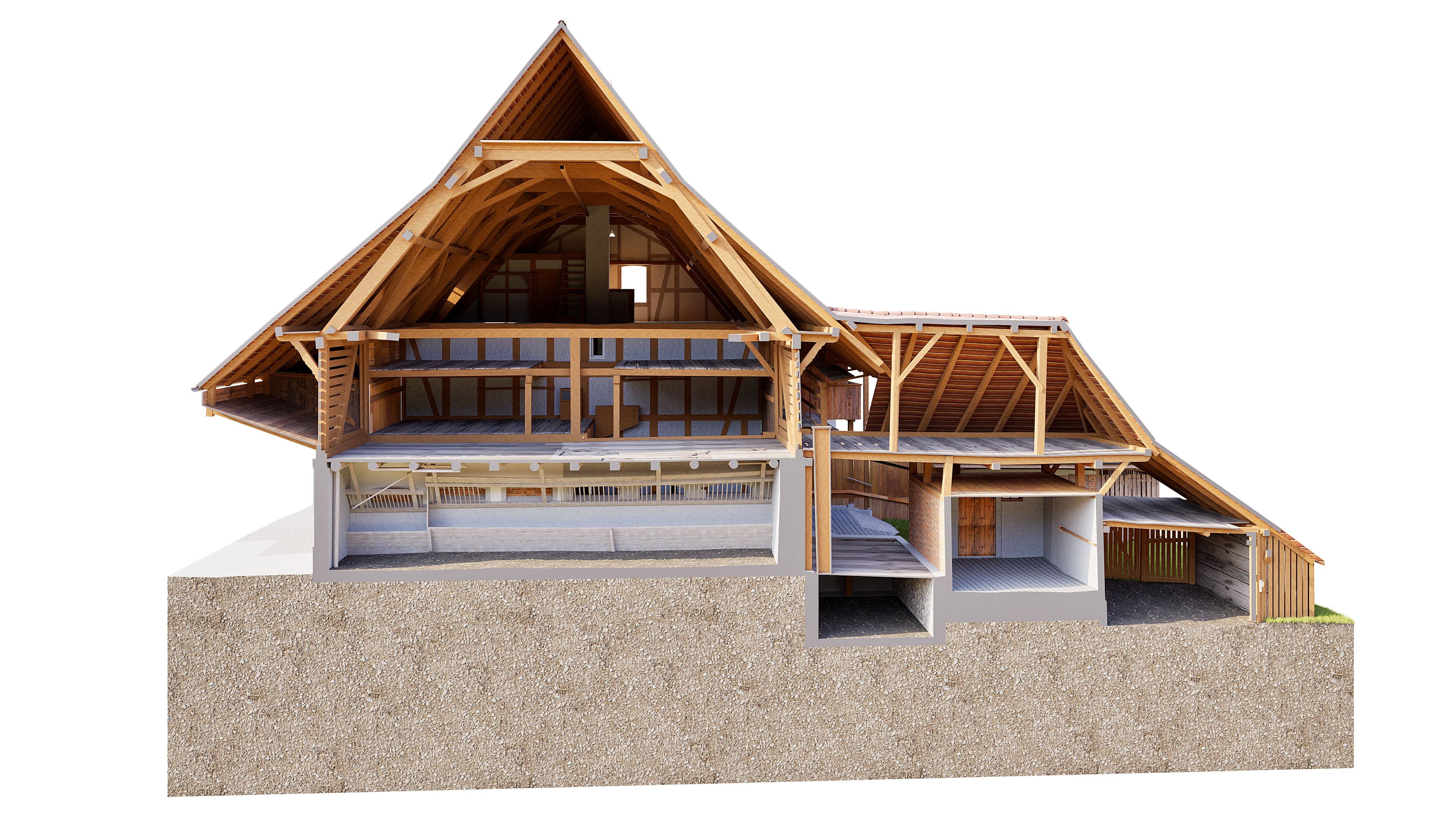 3D-Schnittmodell eines Holzhauses mit Satteldach: Querschnitt zeigt Dachstuhl, Räume, Bodenplatte und Fundament – Architekturvisualisierung einer Holzkonstruktion.