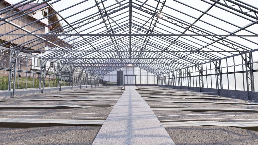 Innenansicht eines leeren Gewächshauses mit Metallgerüst, langem Mittelgang und Beeten auf beiden Seiten, Blick zur Eingangstür am Ende.