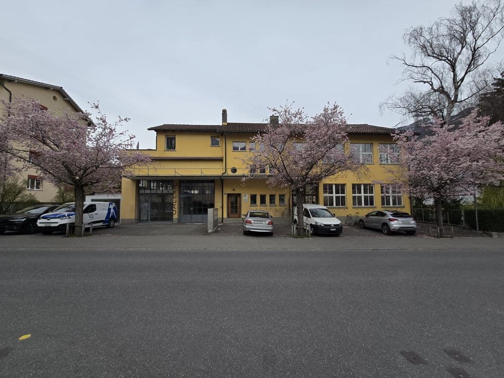 Gelbes Gebäude mit blühenden Kirschbäumen und parkenden Autos vor grauem Himmel.